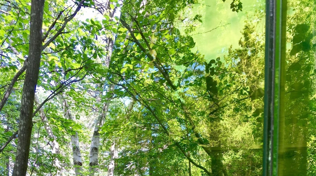 You can see the gardens reflected back on themselves in this art installation that is part of the International Gardens Festival.