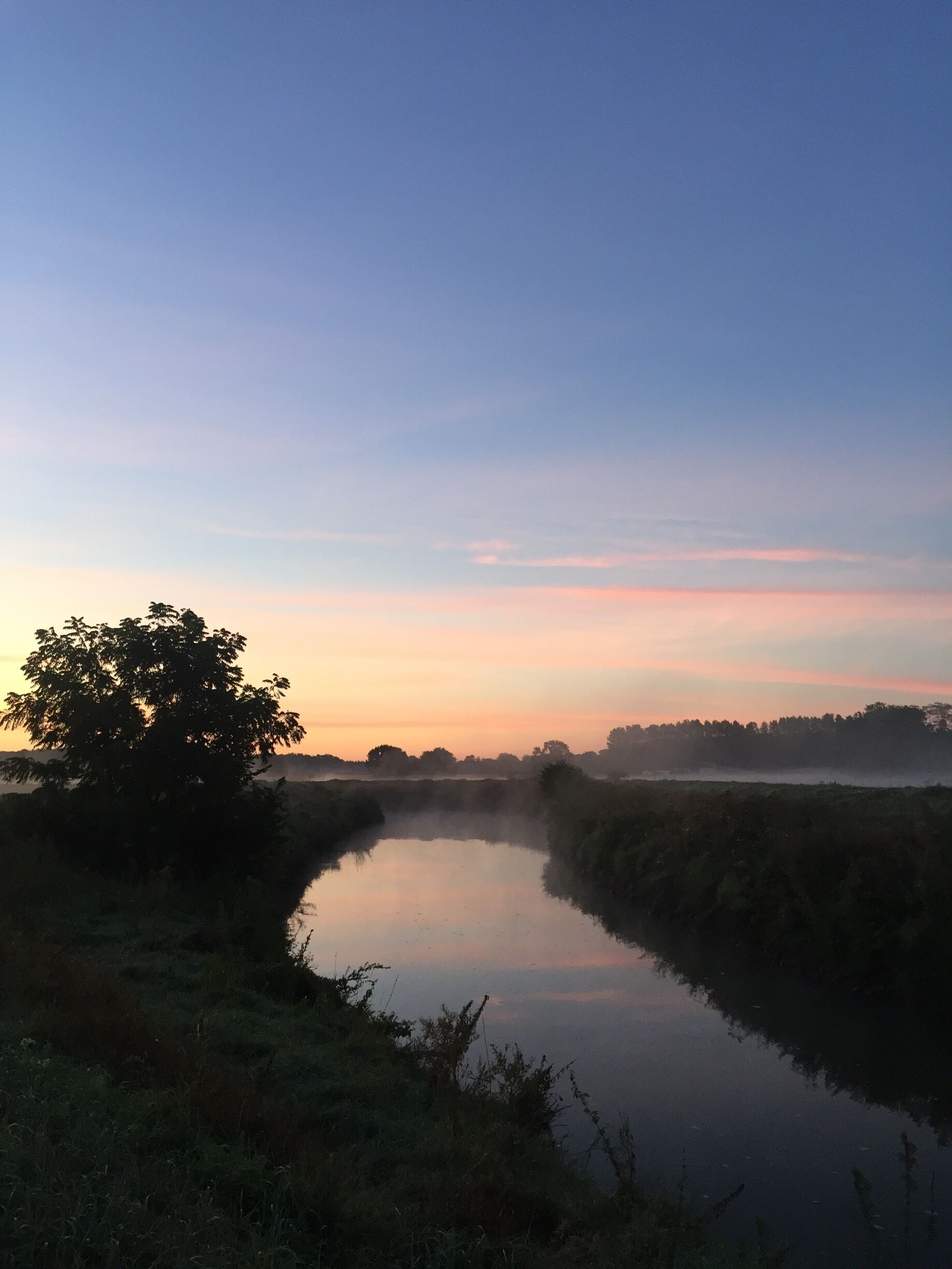 A calm river at dusk with a tree silhouetted against the sky.