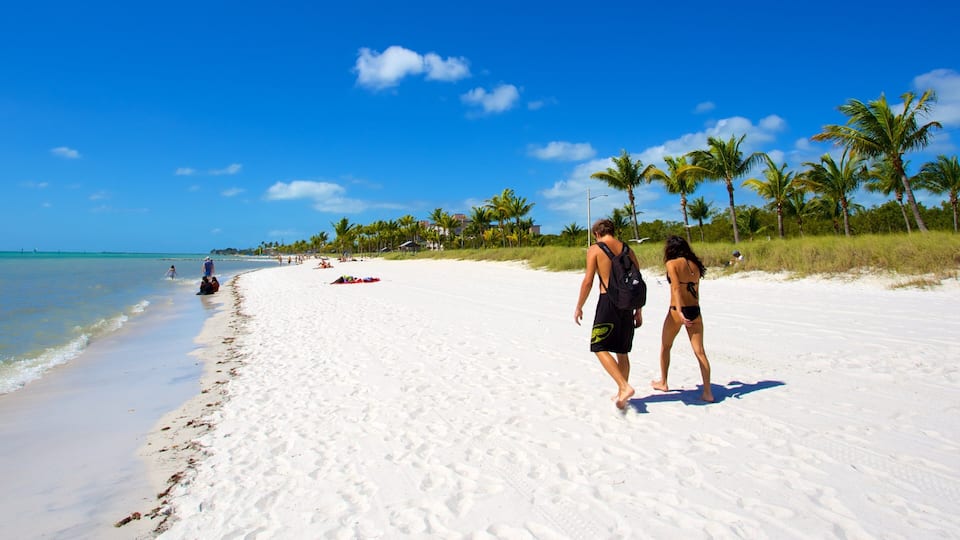 A sandy beach with palm trees and a clear blue sky.