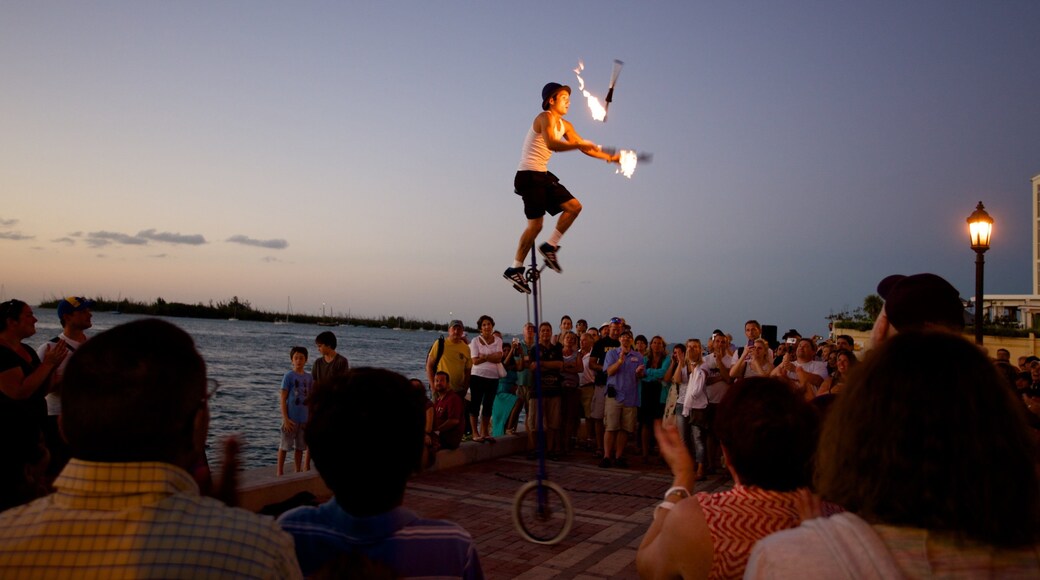 Sud de la Floride mettant en vedette arts de la scÚne, lac ou étang et coucher de soleil
