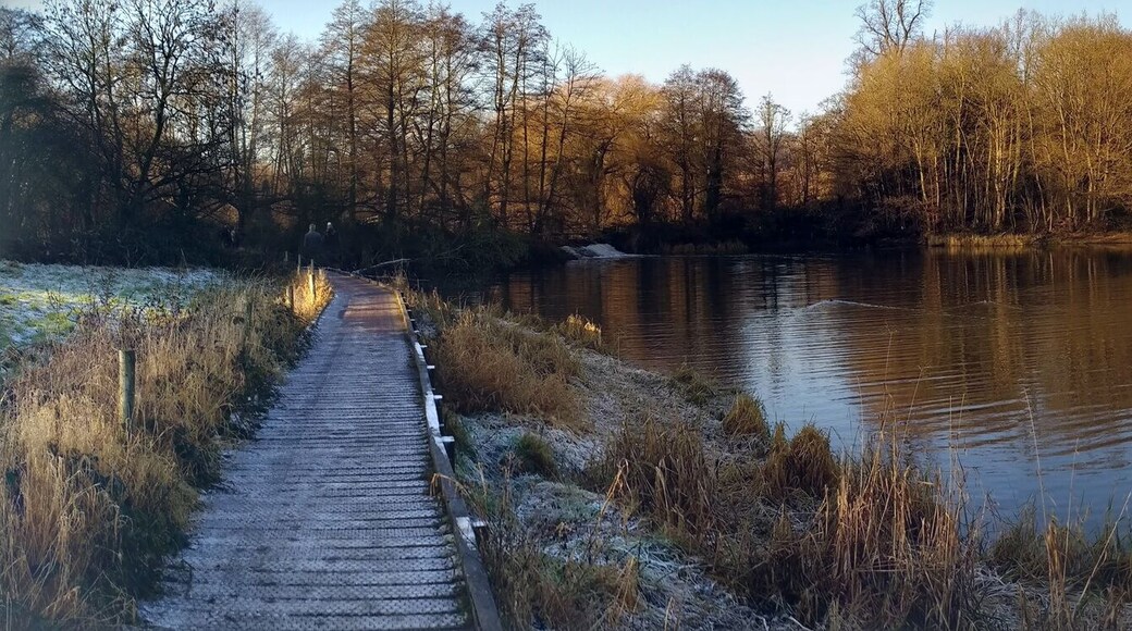 Staunton Harold Panorama taken from the South West side of the reservoir. The wooden footpath platform on the left leads to the West of the reservoir into Calke Abbey grounds.