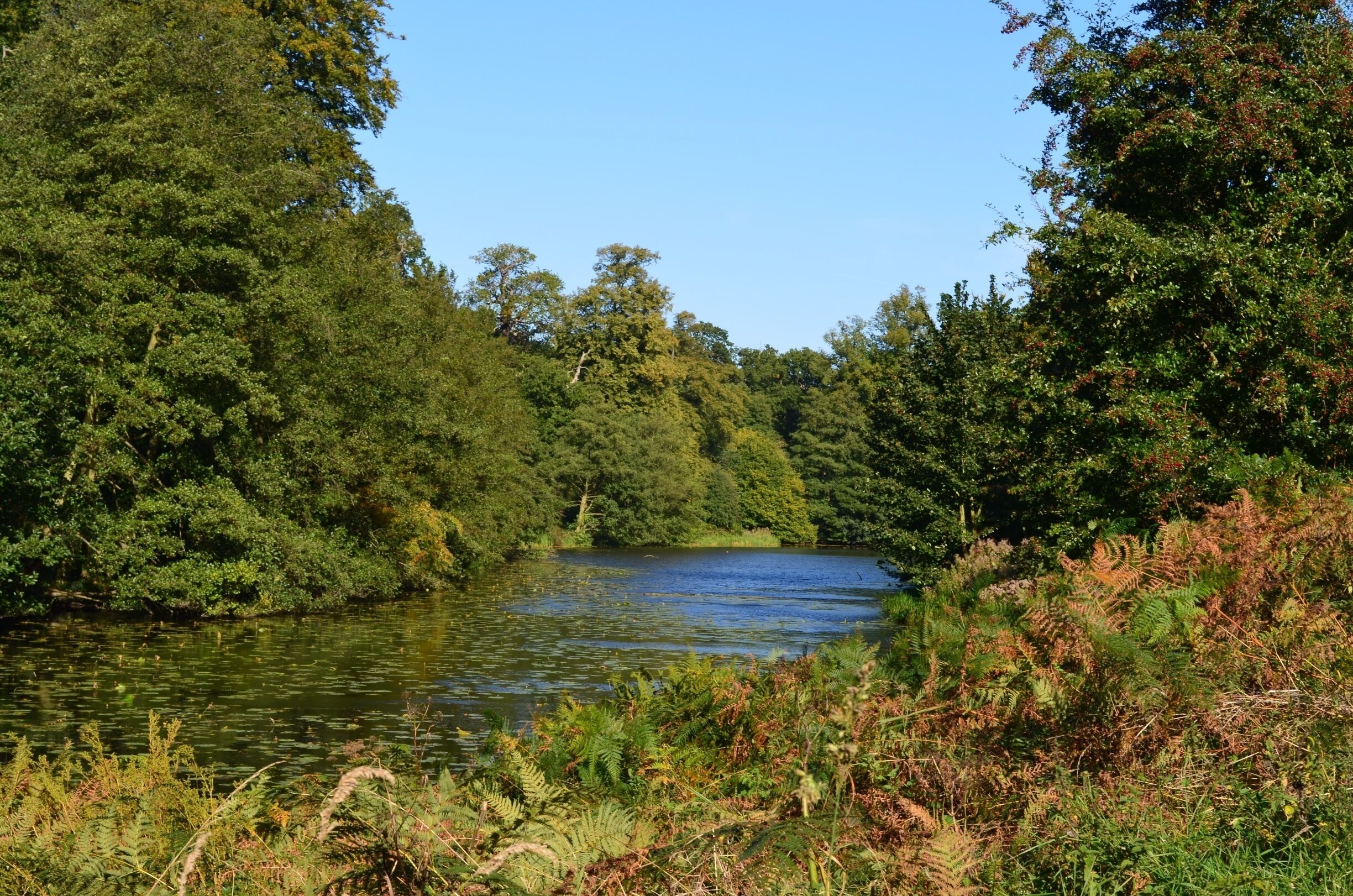 Taken at Calke Abbey in Leicestershire, UK.
#Midlands #Leicestershire #CalkeAbbey #Park #Countryside #Lake #Views #Nature