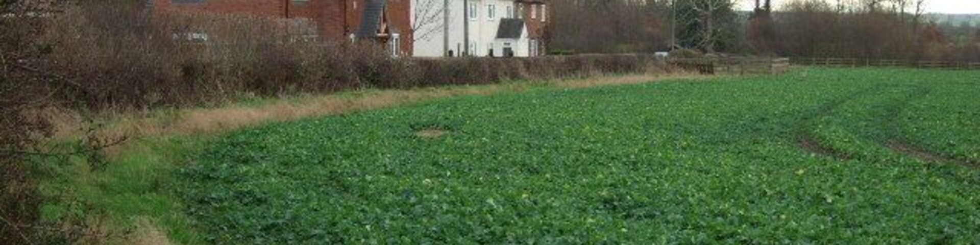 Broomhill Cottages at Etwall The cottages at the end of Broomhill lane.