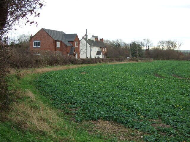 A rural landscape with a field of crops and a house in the background.