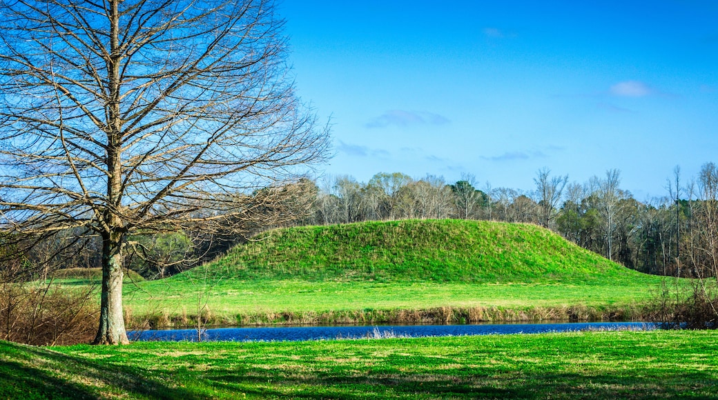 Indian mound at Moundville Archaeological Park in Moundville Alabama