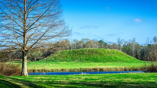 Indian mound at Moundville Archaeological Park in Moundville Alabama