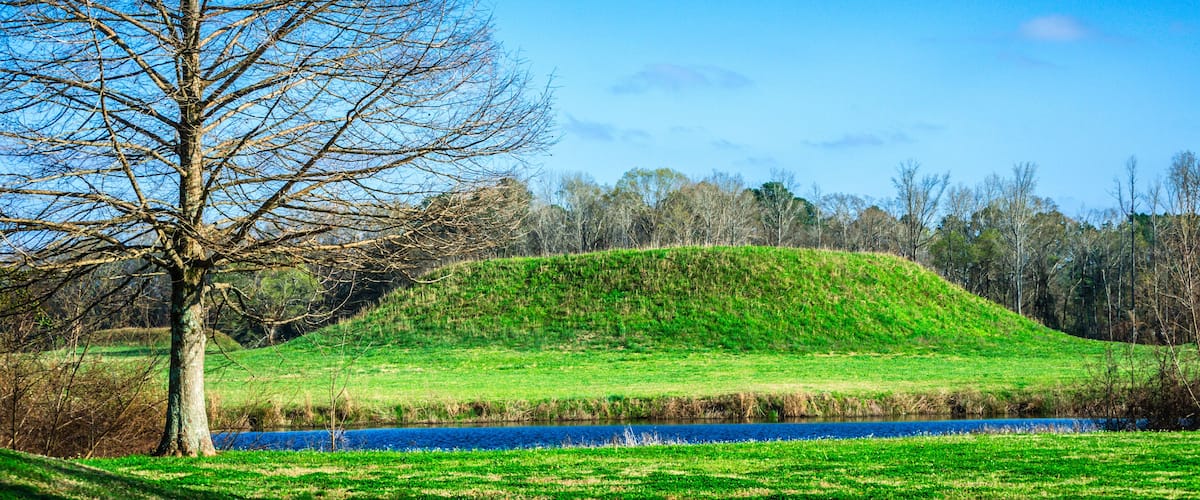 A leafless tree in a grassy field with a hill and a body of water in the background.