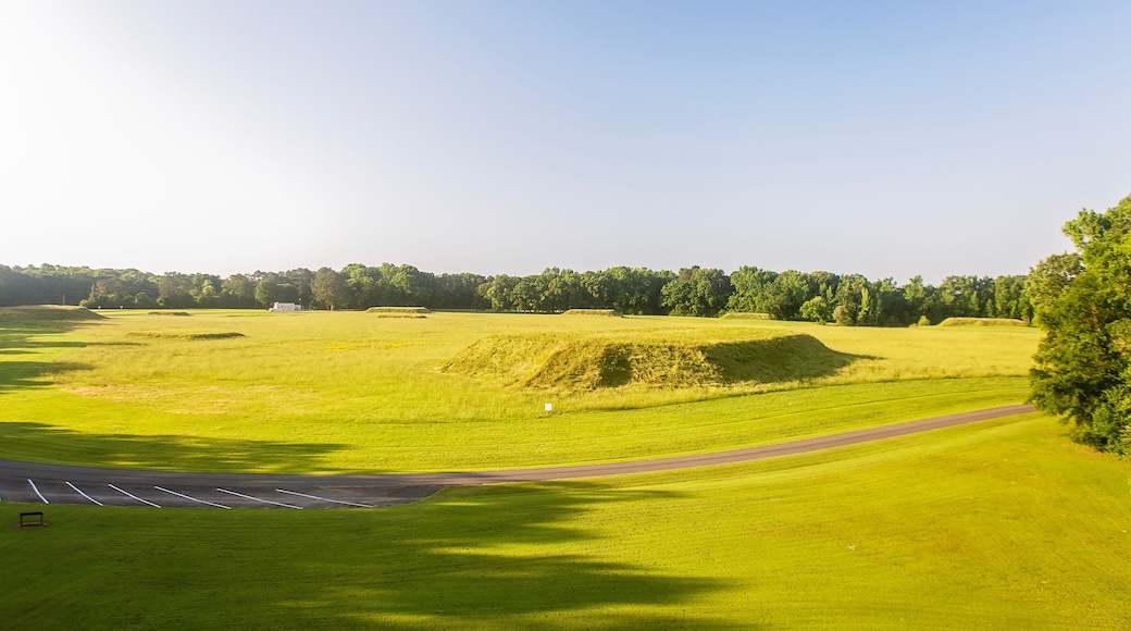 Moundville, Alabama - Native American heritage site of ancient monuments. Flat-topped earthen mounds of the Mississippian culture. National Historic Landmark.