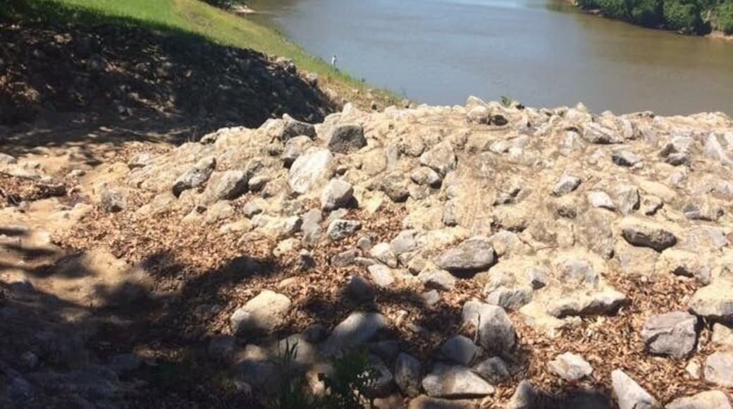 Beautiful river view at Moundville Archaeological Park!