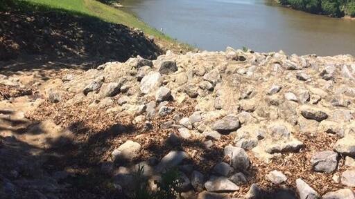 Beautiful river view at Moundville Archaeological Park!