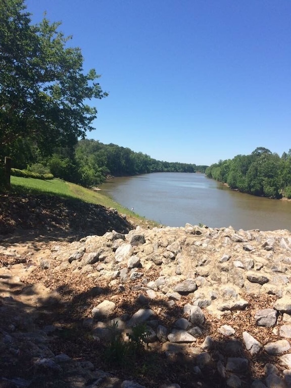 Beautiful river view at Moundville Archaeological Park!