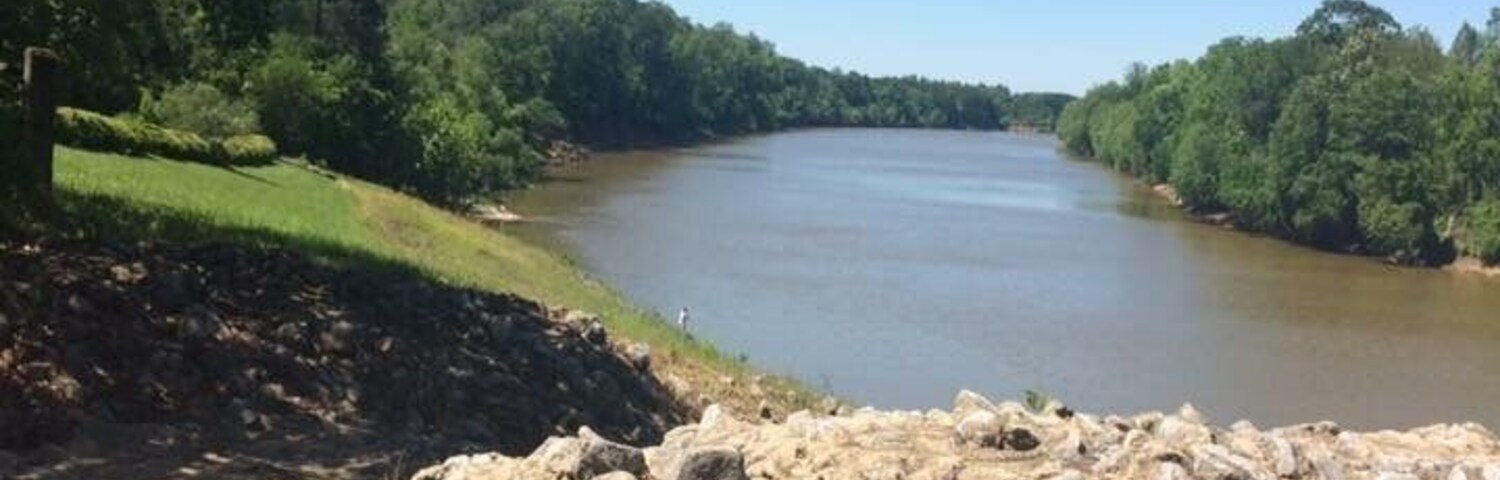 Beautiful river view at Moundville Archaeological Park!