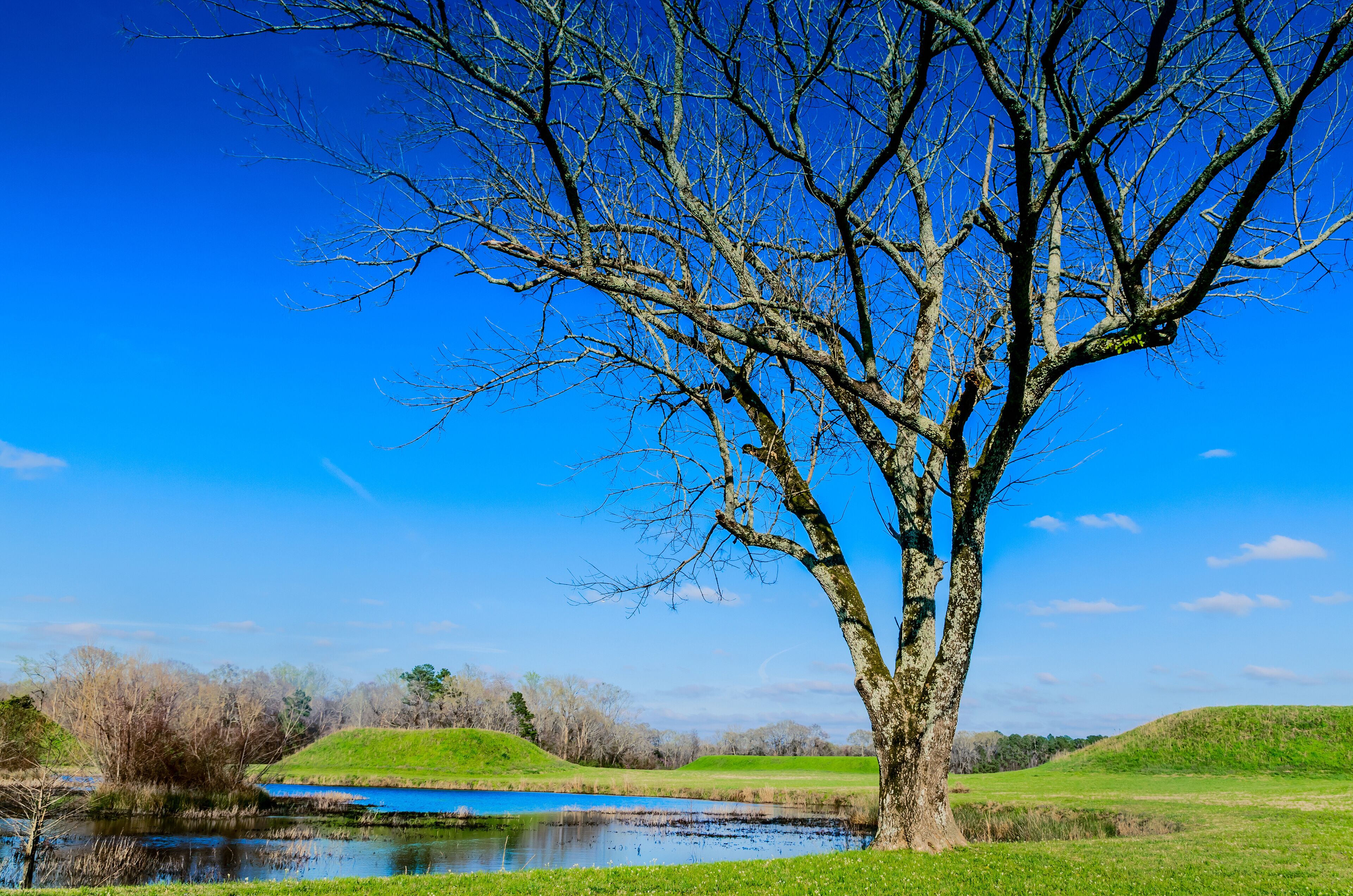 Indian mound at Moundville Archaeological Park in Moundville Alabama