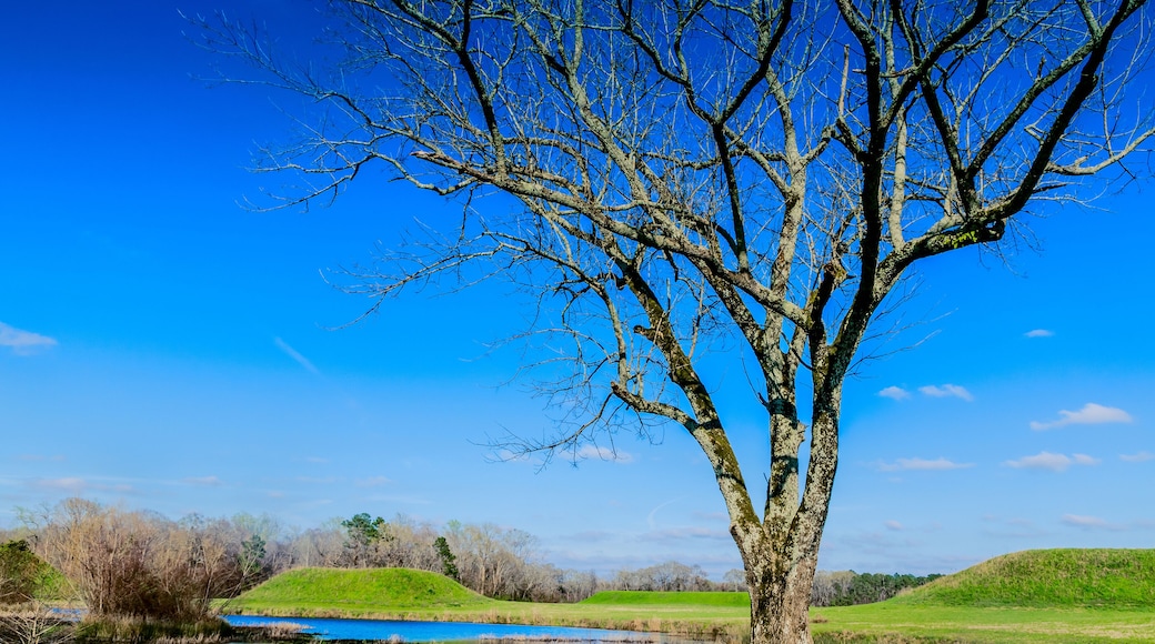 Indian mound at Moundville Archaeological Park in Moundville Alabama