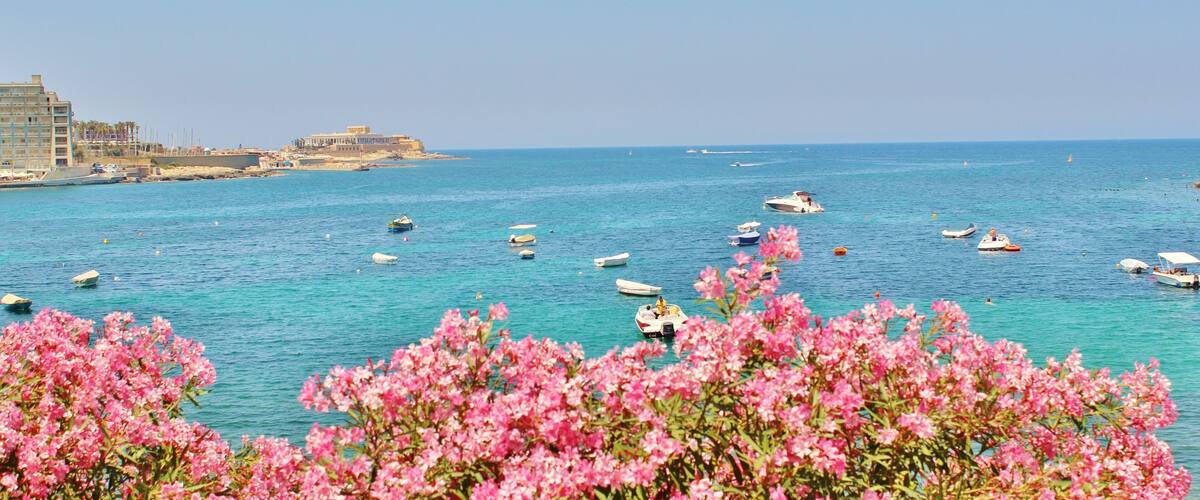 A coastal scene with boats on turquoise water, pink flowers in the foreground, and buildings in the background.