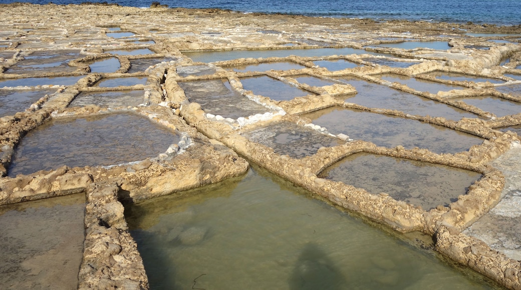 Una distesa salina naturale con vasche rettangolari d'acqua e formazioni rocciose circostanti.