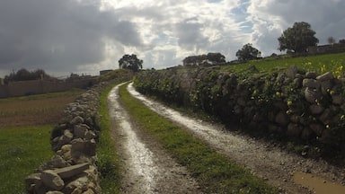 Triq Ta' Wicc Ir-Rahal, Ħaż-Żebbuġ, Malta