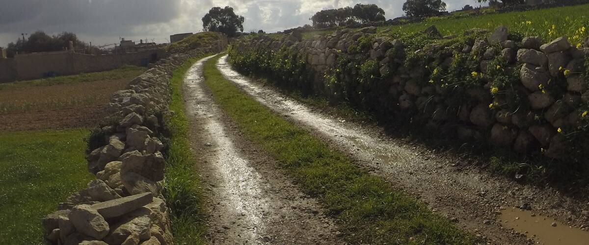 A rural dirt road winding through fields, flanked by stone walls and trees under a cloudy sky.