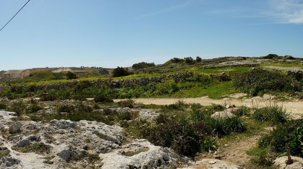 Clapham Junction - Cart Ruts Malta