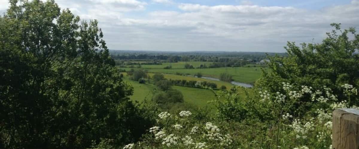 A landscape with a river, green fields, and trees.