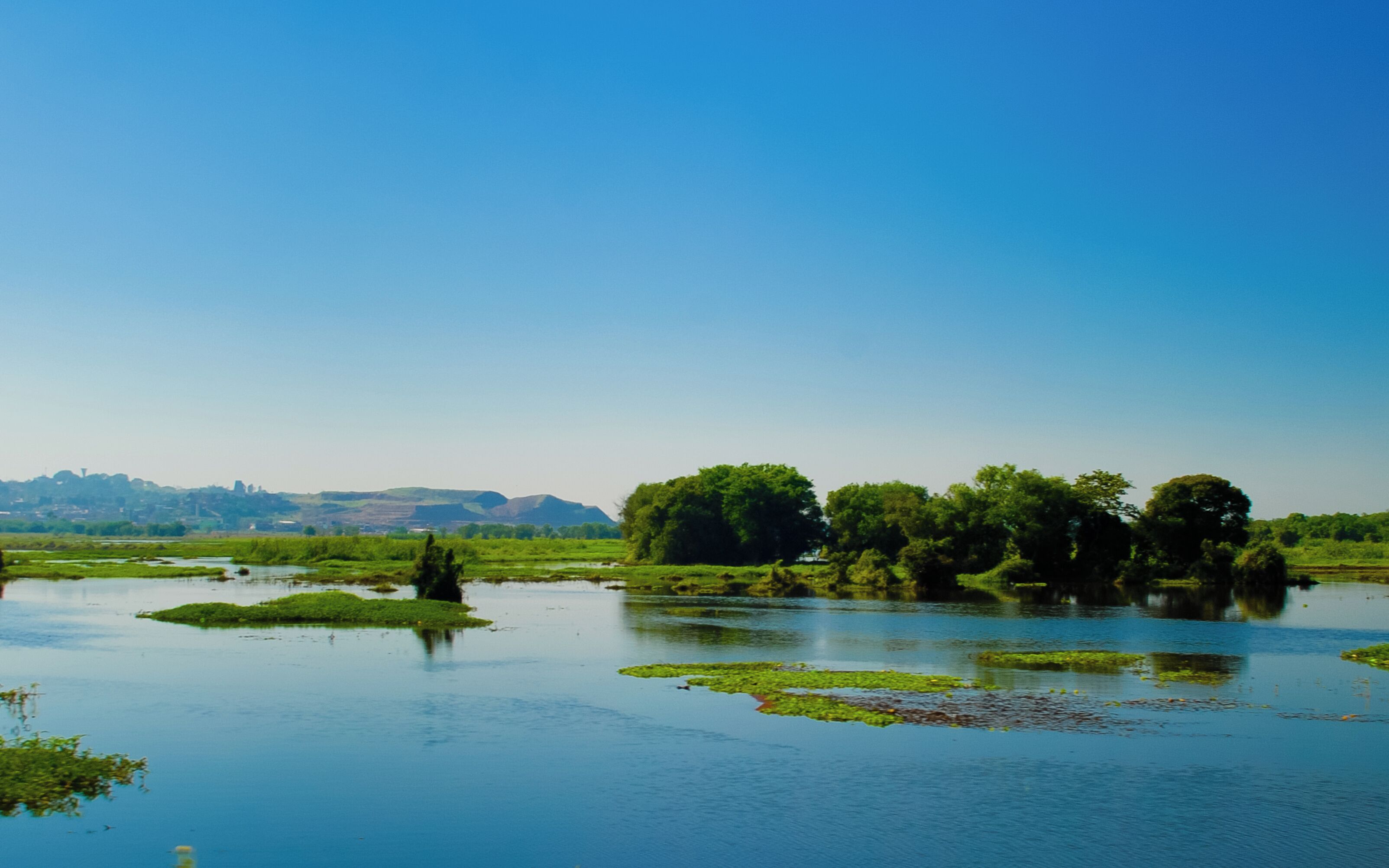 A calm river with green vegetation and trees reflecting on the water.