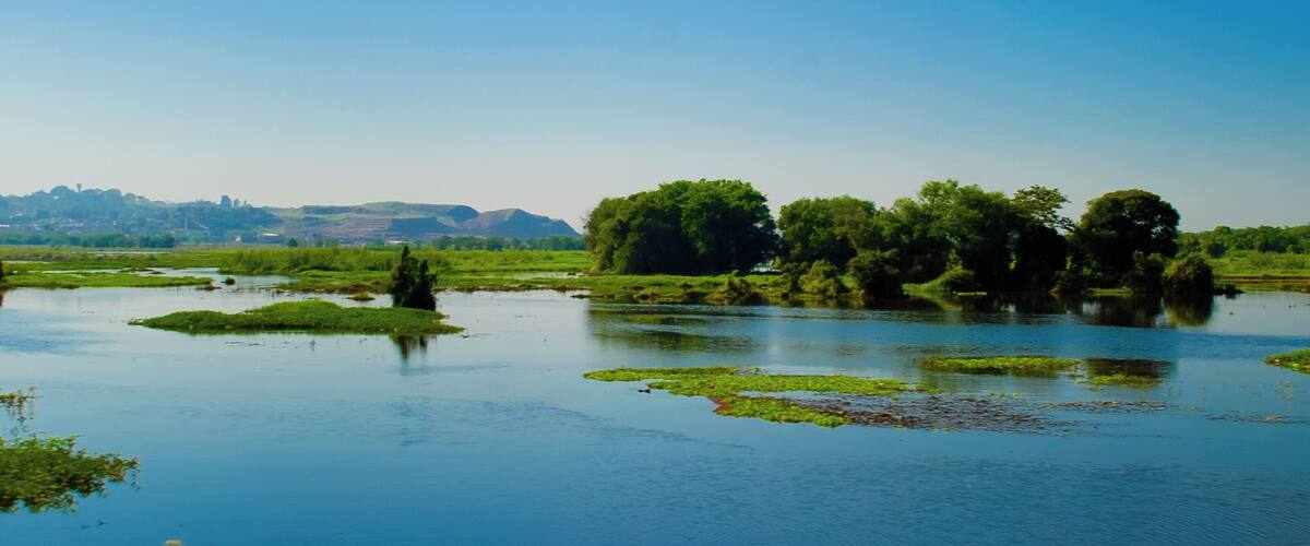 A calm river with green vegetation and trees reflecting on the water.