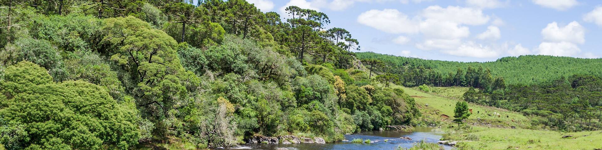 Landscape of the gaucho mountain range, araucarias, mountains and rivers. City of Bom Jesus, São José dos Ausentes.