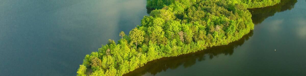 Aerial view of Lake Mackintosh surrounded by lush greenery. Burlington, North Carolina.