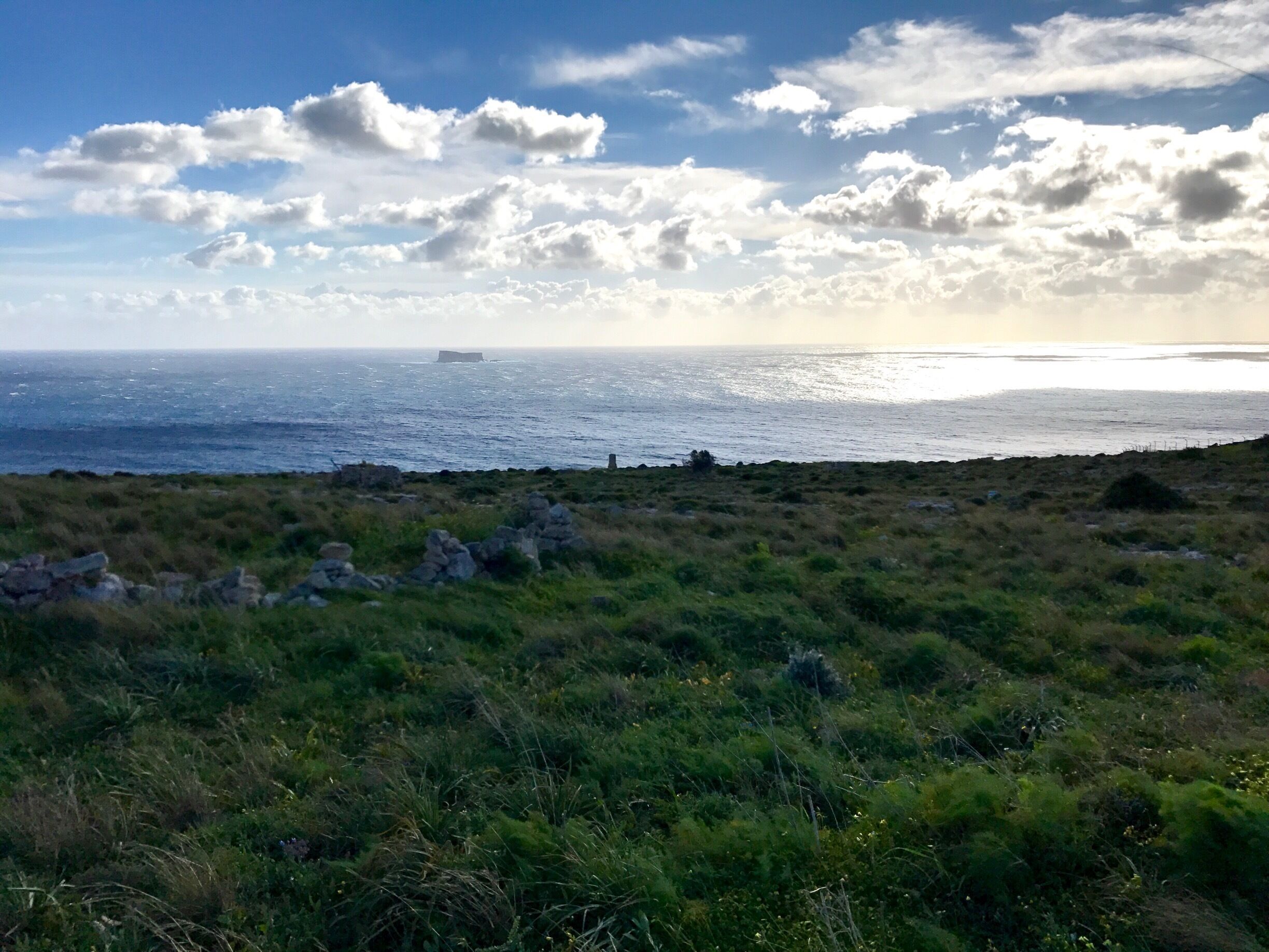 #greenphotosweepstakes