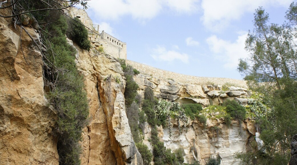 Apparently this huge sinkhole in the countryside of Qrendi, occurred during a storm in 14th century. Well worth a visit, as it is quite off the tourist trail. There is also a nice chapel/church just above the sinkhole.
More about malta and gozo: http://www.earthseeing.com/gozo-sightseeing/
#sinkhole #malta #nature #localgem