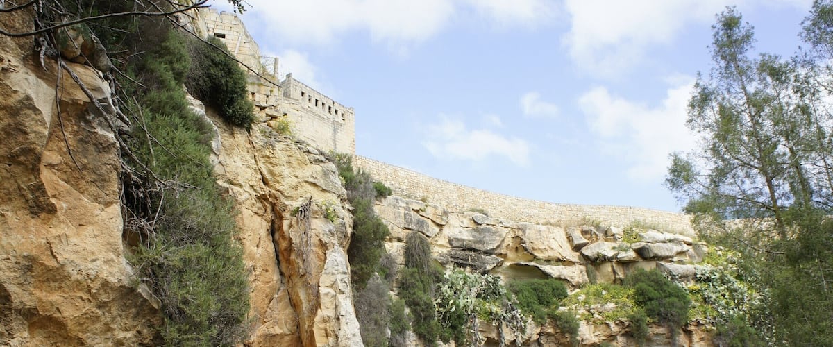 Apparently this huge sinkhole in the countryside of Qrendi, occurred during a storm in 14th century. Well worth a visit, as it is quite off the tourist trail. There is also a nice chapel/church just above the sinkhole.
More about malta and gozo: http://www.earthseeing.com/gozo-sightseeing/
#sinkhole #malta #nature #localgem