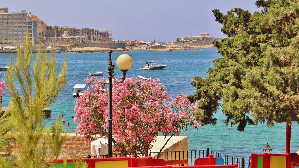 A coastal scene with a clear blue sea, boats, a pink flowering tree, and colorful buildings.