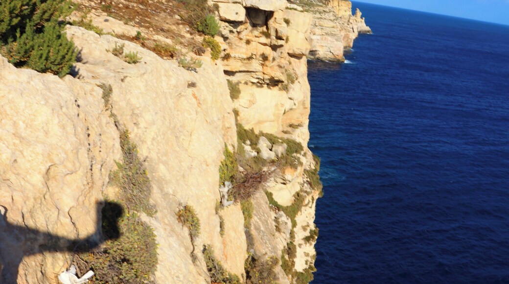 Birżebbuġa Cliffs