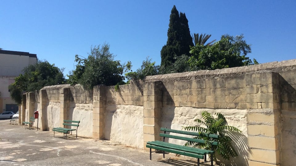 A row of green benches along a stone wall with a tall tree in the background.