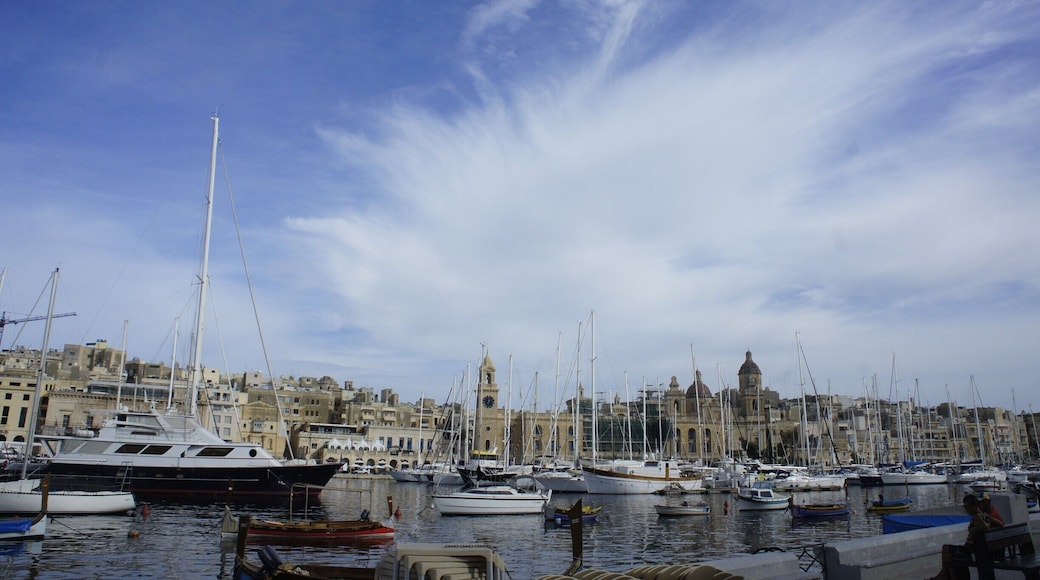 Shot of Birgu (Citta Vittoriosa) from Senglea, also known as Isla in Maltese.
These two form part of the 'Three Cities' on the east coast of Malta.
All of them look over the capital city of Valletta.
#birgu #isla #vittoriosa #senglea #valletta #unesco #roadtrip