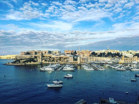 A harbor with numerous boats, a historic cityscape, and a clear sky.