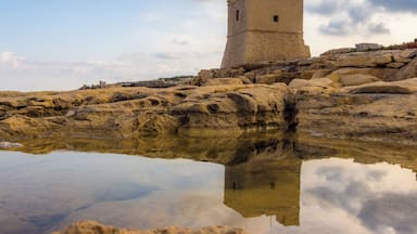 This media shows the protected monument with the number 01384 in Malta.