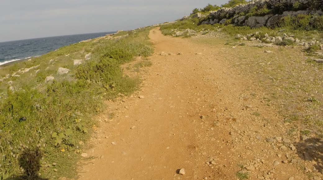 Ħaż-Żabbar, Malta