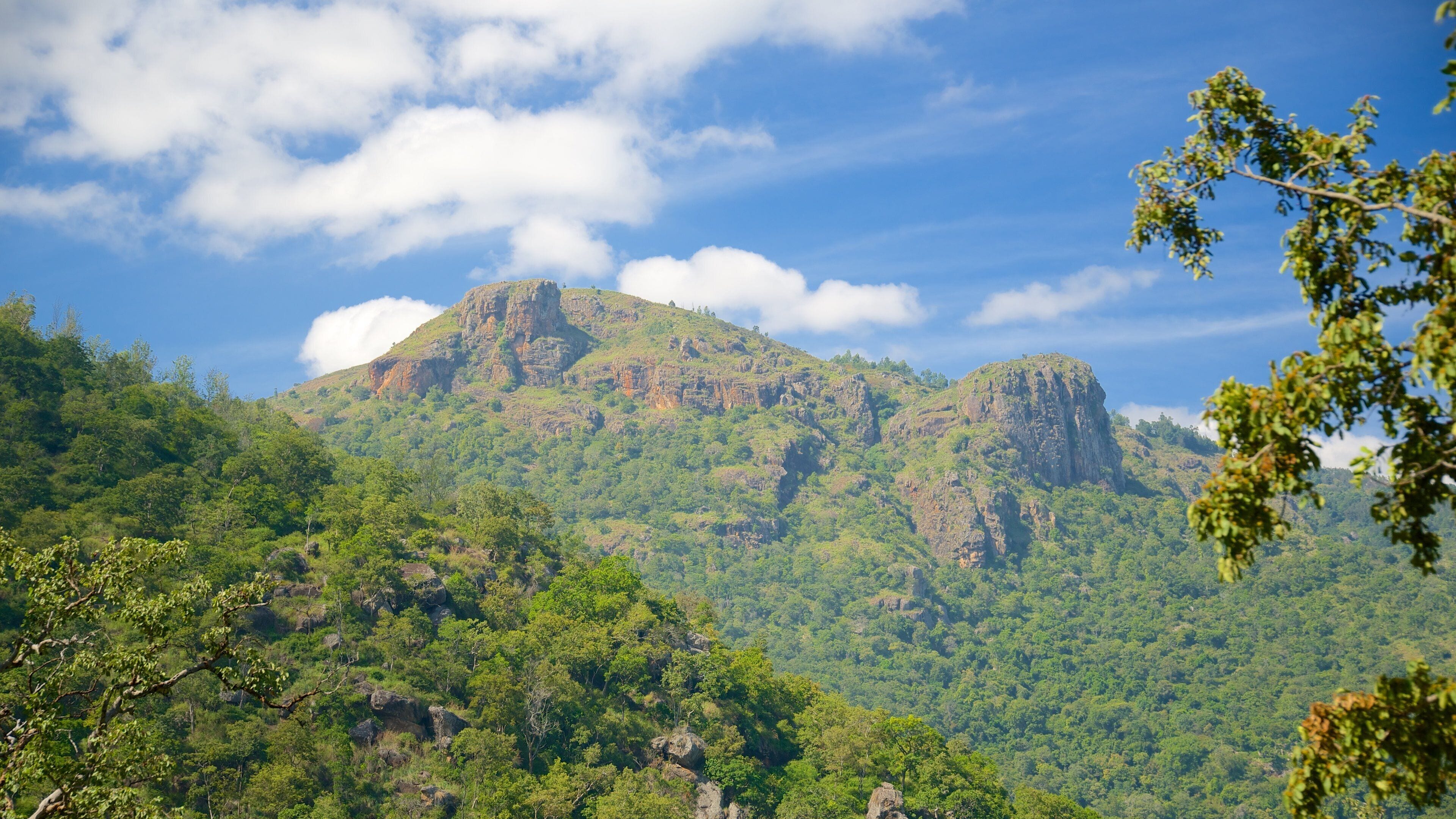 Ooty og byder på skovområder