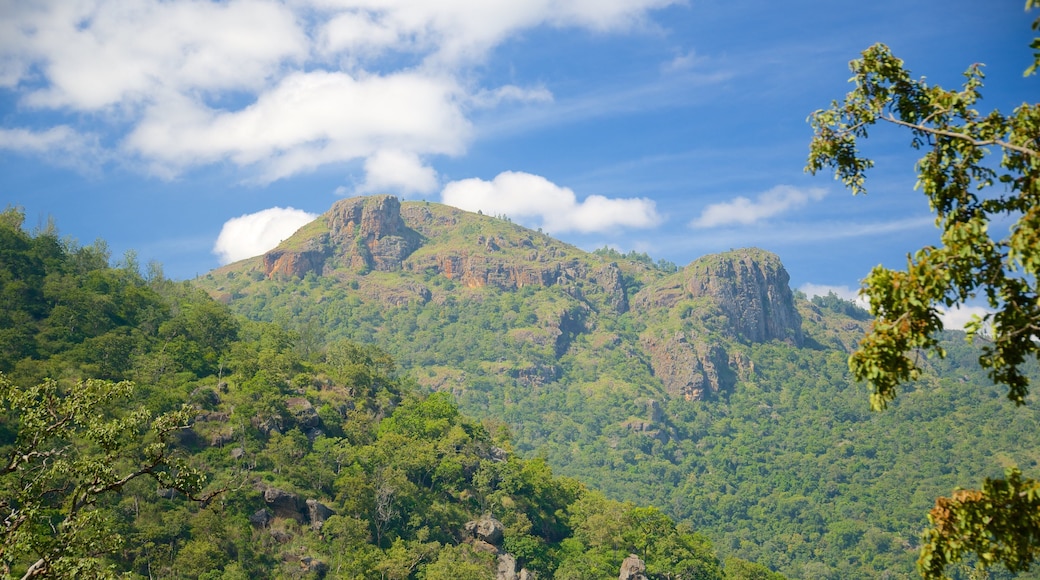 Ooty which includes forests