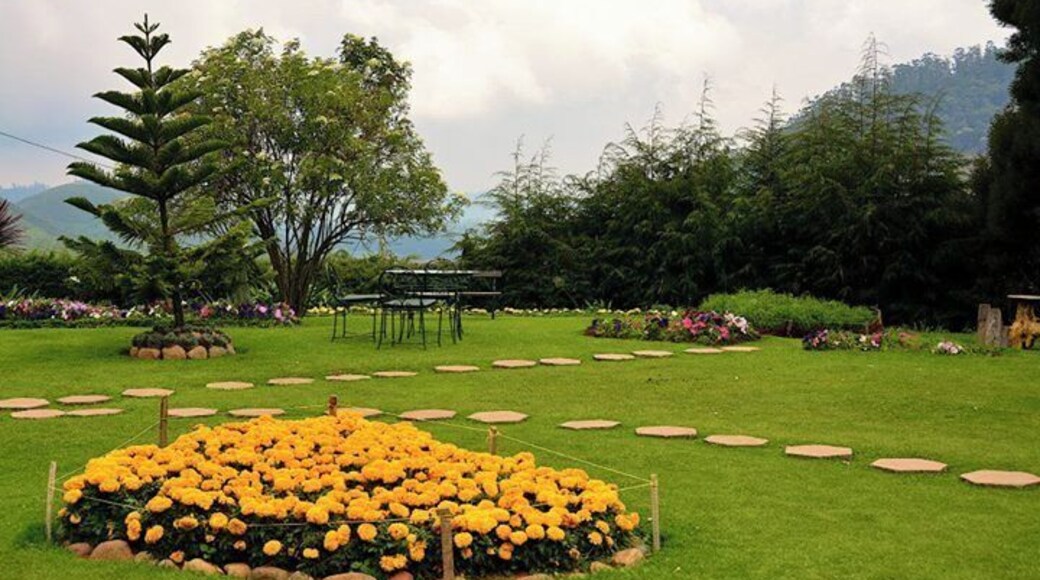 Sherlock is a lovely property in Ooty!