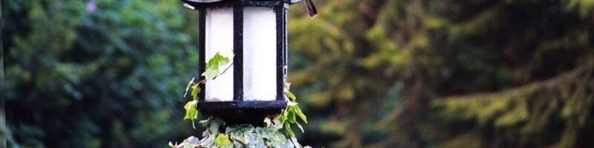 King's Cliff is an amazing resort that will transform you into the times of the Raj.