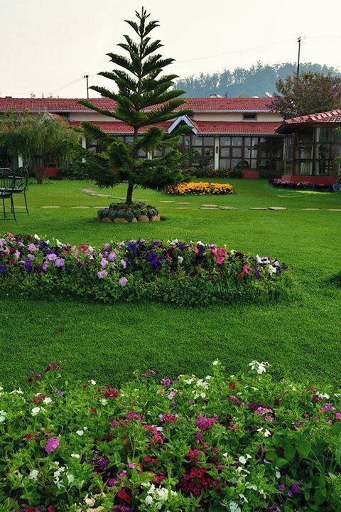 Sherlock Hotel in Ooty - a charming property nestled in the hills...