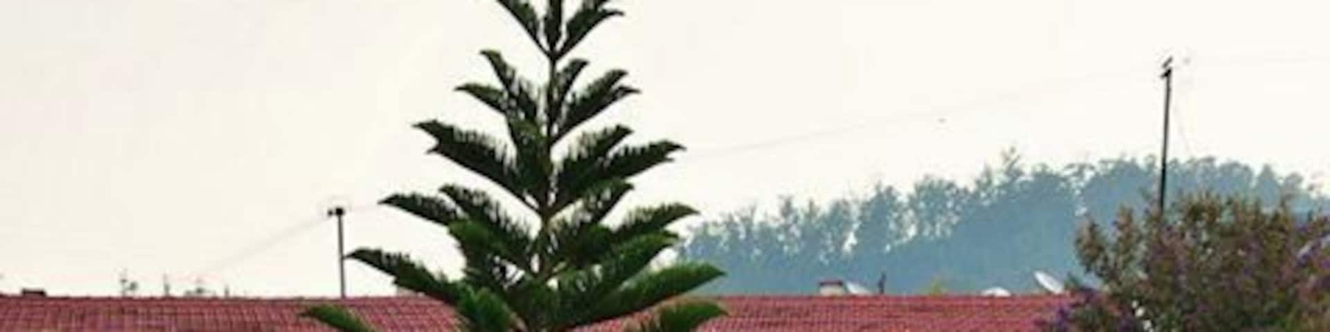 Sherlock Hotel in Ooty - a charming property nestled in the hills...