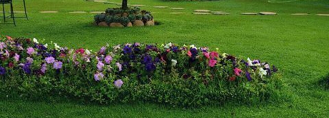 Sherlock Hotel in Ooty - a charming property nestled in the hills...