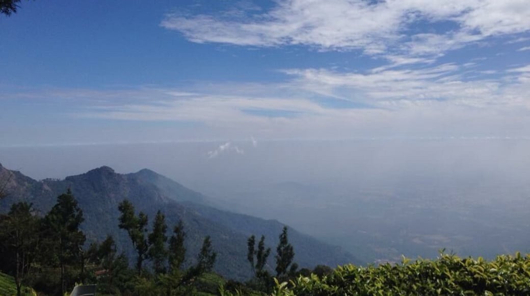 Ooty will surely be a memorable trip for me!
Beautiful all the way!