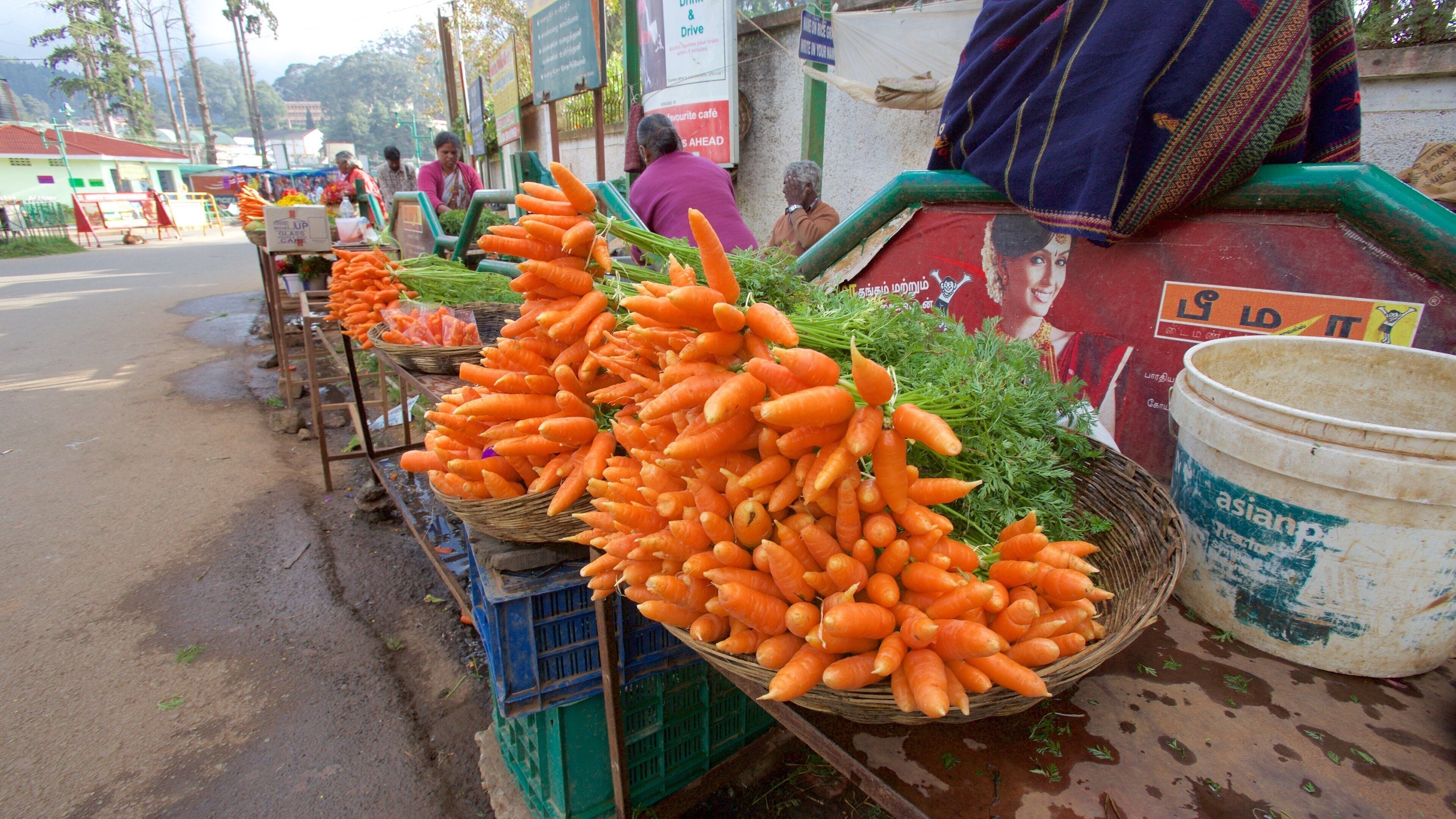 Ooty which includes markets