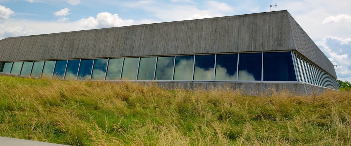A modern building with a flat roof and large windows, surrounded by tall grass.