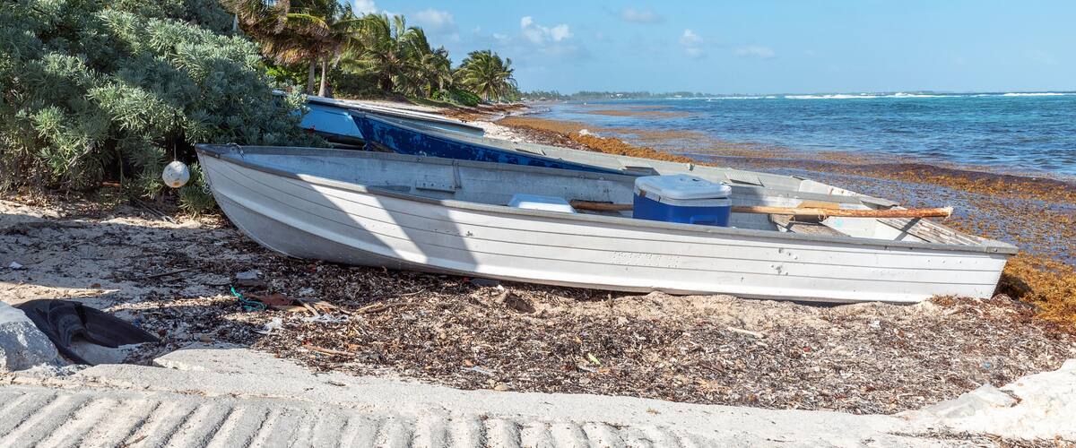 A beach with a rowboat, palm trees, and a clear blue sky.