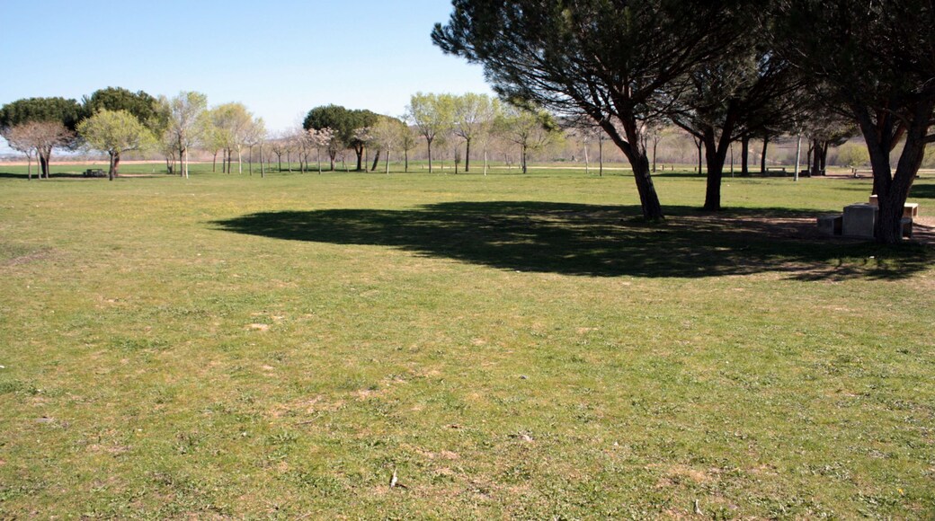 Daganzo parque ermita 1